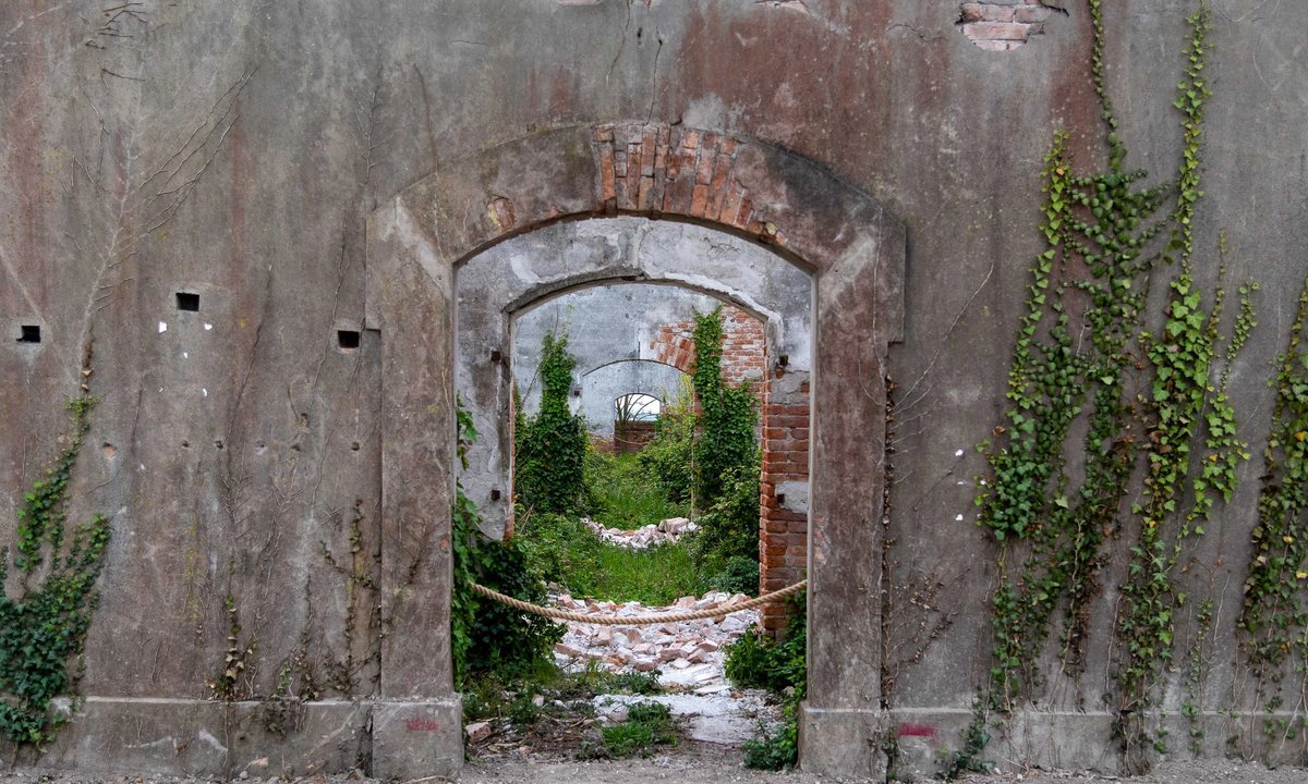 La remota isla veneciana será transformada en un centro de arte y ecología por la coleccionista italiana Patrizia Sandretto Re Rebaudengo