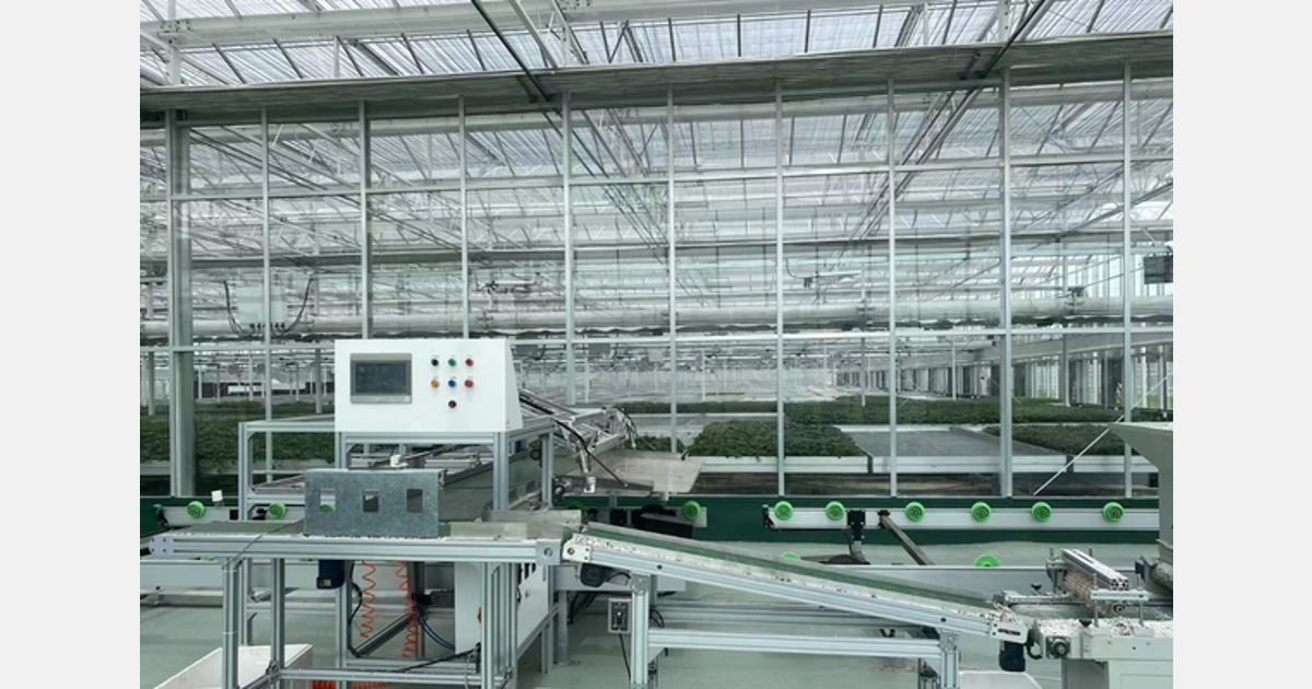 La fábrica de plántulas digitales hace que la ecología de la industria sea más estandarizada y más efectiva.