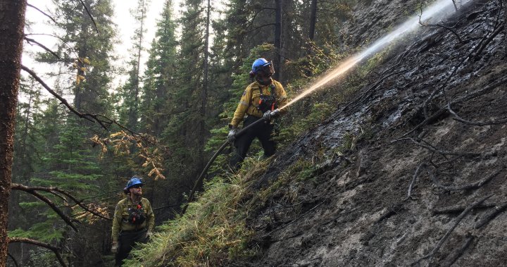 Se permite que el borde occidental del incendio forestal de Jasper se propague por beneficios ecológicos