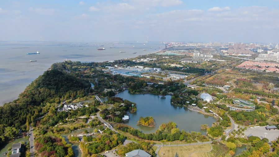 Estuario de río Yangtze ve mejora ecológica