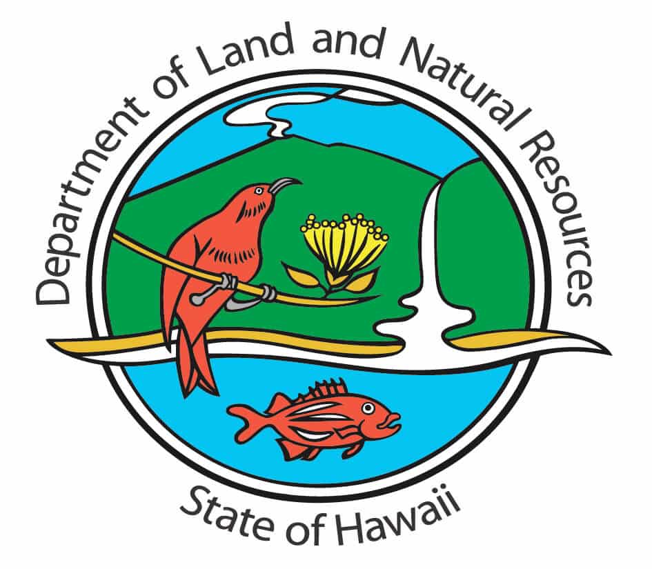 Gobernador Josh Green, MD | Comunicado de prensa de DLNR-Impactos ecológicos mínimos reportados por la erupción de Mauna Loa