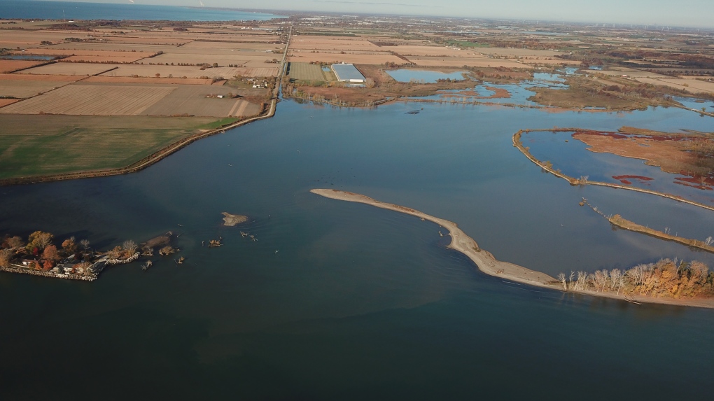 Reportan contratiempo ecológico en Hillman Marsh