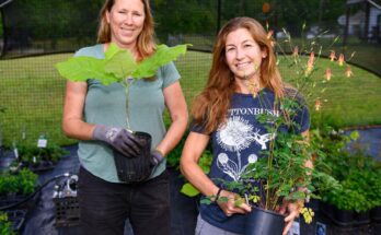 Auburn Nursery se especializa en especies nativas y diversidad ecológica