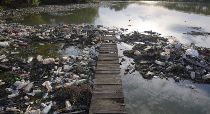 La Tierra está 'realmente bastante enferma ahora' y en zona de peligro en casi todas las formas ecológicas, dice un estudio