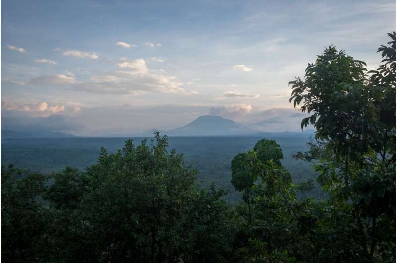 La gestión conjunta de áreas protegidas por parte de ONG y países africanos ayuda a reducir la deforestación