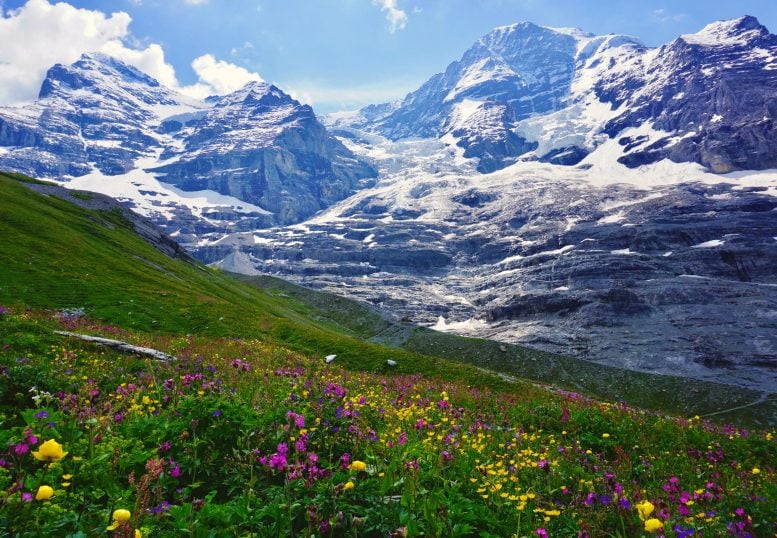 Alpes suizos
