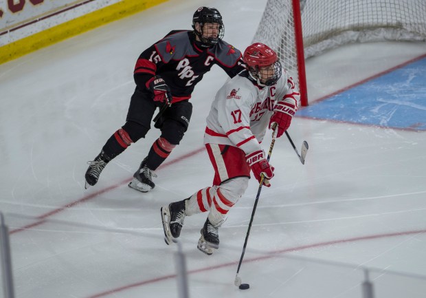 Sean Carroll (17) de Hingham intenta recuperarse del caos cuando la preparación Pope Francis Prep (15) de Matt Francis cierra durante la Div. Semifinal de hockey sobre hielo One-Boys en Boston College. (Amanda Sabga/Boston Herald)
